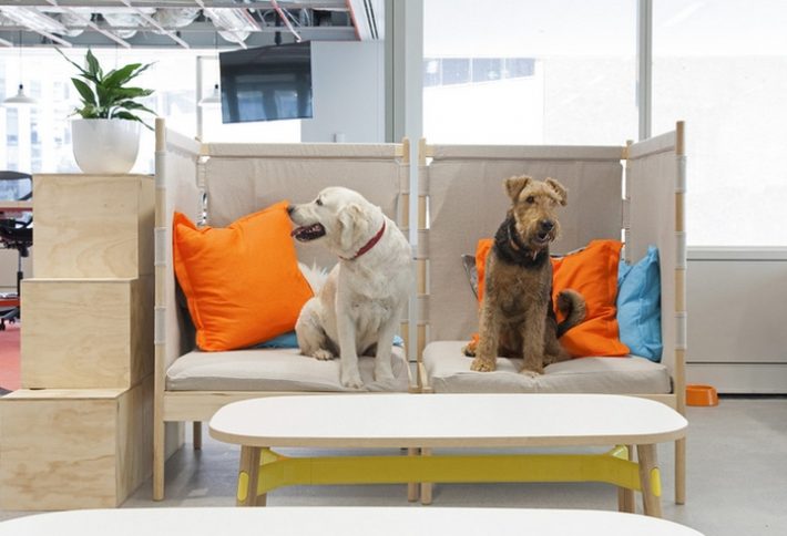 極賦樂趣的寵物管理所辦公室設(shè)計